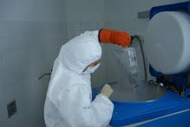 ¿Qué hacer con los embriones humanos congelados?