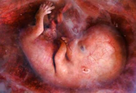 Aborto, el más grande genocidio de la historia