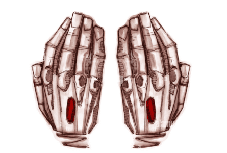 Las llagas del Señor resucitado están vivas