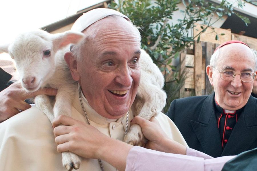 El Papa bendecirá hoy los corderos con que se elaborarán los palios de los nuevos arzobispos