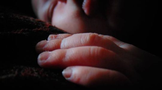 Una directiva de Planned Parenthood regatea el precio de las partes de los fetos abortados