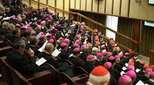 Notas completas de las intervenciones del Sínodo