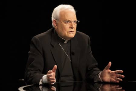 Cardenal Amigo: «Algunos que aplauden tanto al Papa lo hacen para darnos en la cresta»