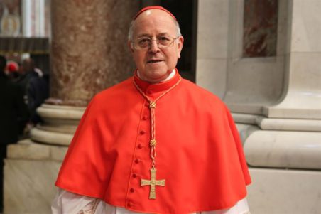 Cardenal Blazquez: ‘El matrimonio y la familia son una célula viva en la sociedad’