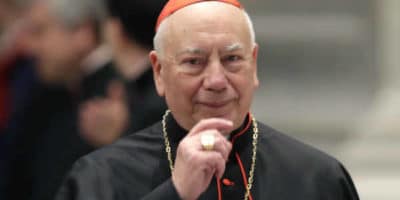 Descubra la biografía y obra de Francesco Coccopalmerio, Cardenal de Italia. Toda la información de la Santa Sede y la Iglesia, a tu alcance.