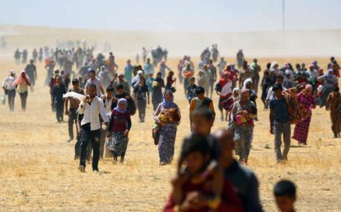 Munilla anuncia que la Iglesia ayudará a los refugiados en sus países