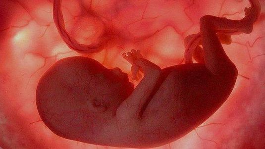 El TC reconoce el derecho a enterrar a un niño abortado