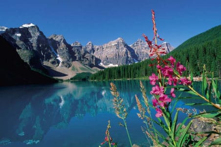 Ecología sí, ecologismo no