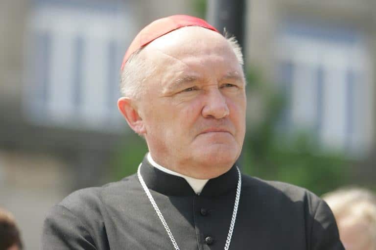 Descubra la biografía y obra de Kazimierz Nycz, arzobispo de Varsovia. Toda la información de la Santa Sede y la Iglesia, a tu alcance.