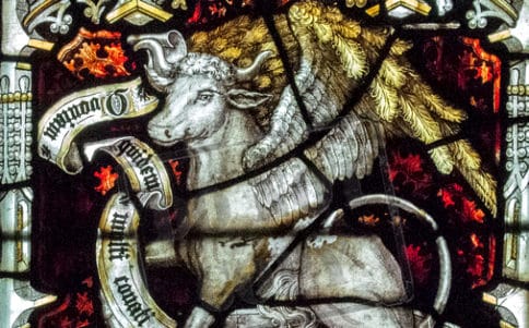 ‘El que acepta mis mandamientos y los guarda, ése me ama’