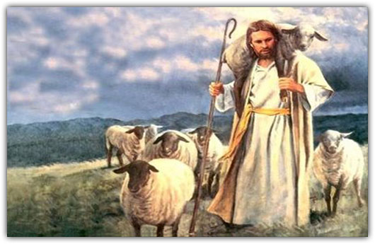 Resultado de imagen de ovejas sin pastor