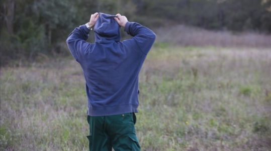 Señor Arzobispo, la carta se la mando, si le parece, por este medio