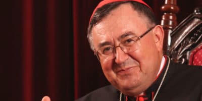 Descubra la biografía y Vinko Puljić, Arzobispo de Vrhbosna . Toda la información de la Santa Sede y la Iglesia, a tu alcance.