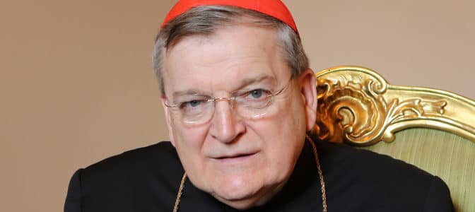 Cardinal-Raymond-Burke-2014