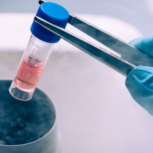 Un frasco de embriones congelados sostenido por unas pinzas, en el proceso de la inseminación artificial.