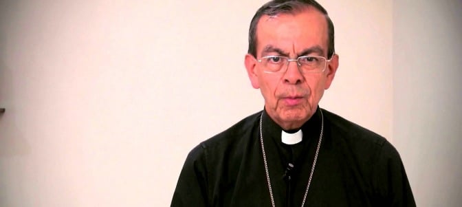 El obispo auxiliar de San Salvador, Gregorio Rosa Chávez, se convertirá además en el primer purpurado del país centroamericano.