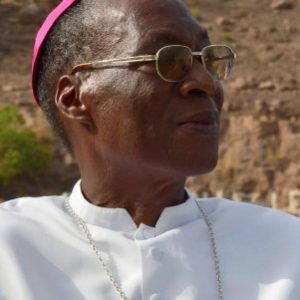 Descubra la biografía y obra Jean Zerbo, el cardenal comprometido con los cristianos de Mali. Toda la información de la Santa Sede y la Iglesia, a tu alcance.