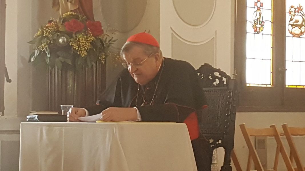 Vídeo de las intervenciones del Cardenal Burke en el ‘I Encuentro InfoVaticana’