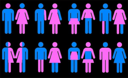 Padres denuncian ideología de género en el currículo escolar chileno