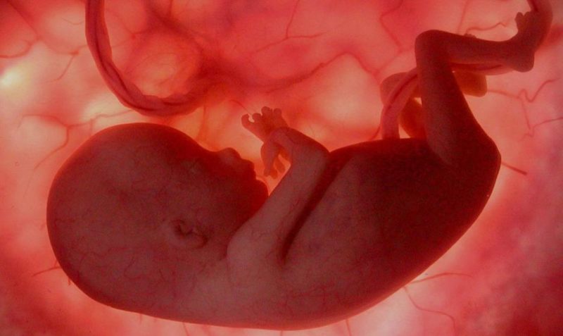 Chile reconoce a los fetos fallecidos y permite nombrar sus sepulturas