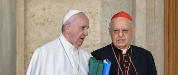 «No cabe otra interpretación»