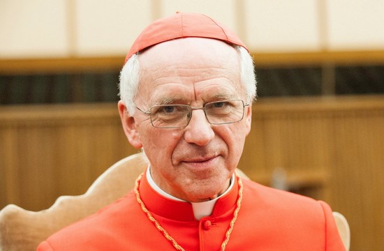 El primado belga considera la lucha por el planeta lo más positivo de 2019