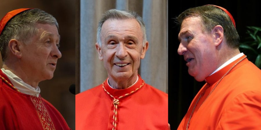 Los cardenales Cupich y Tobin se reunieron con Ladaria antes de su carta al episcopado de EE UU