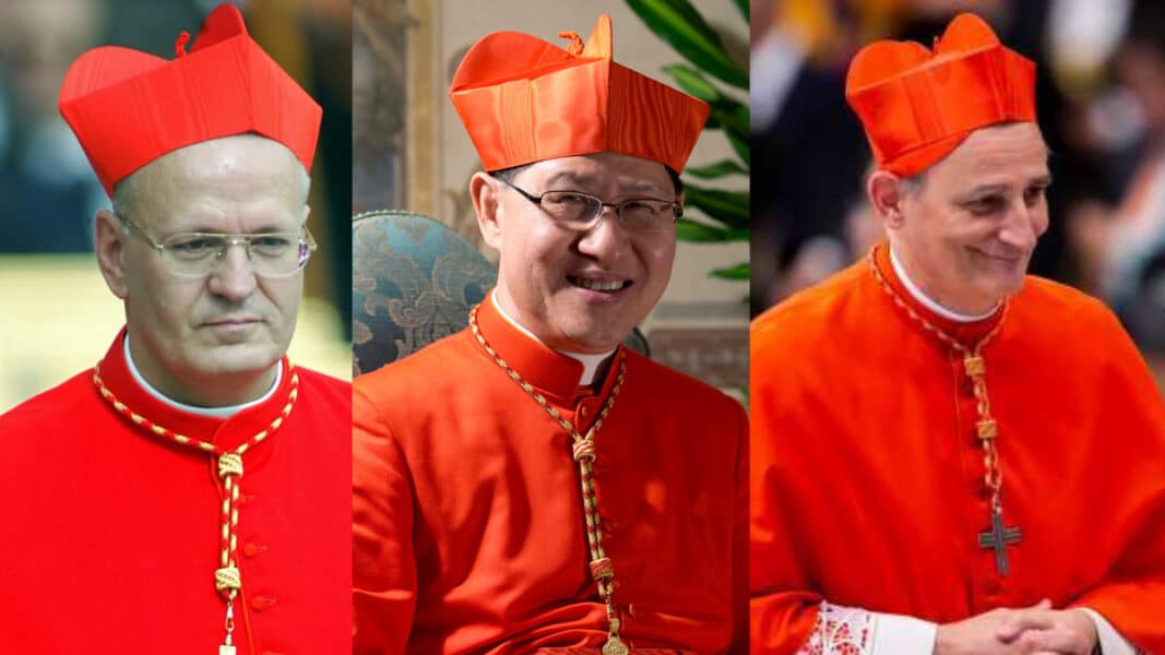 Sucesor de Francisco