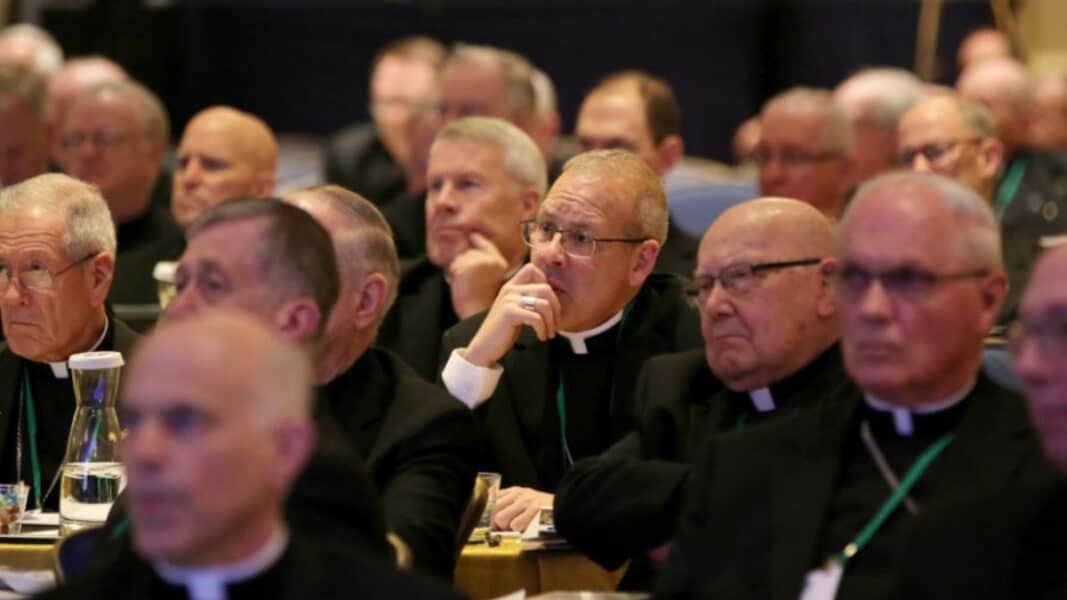 El episcopado de EE UU urge a los fieles a formarse “una conciencia ecológica”