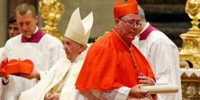 cardenal Hollerich homosexualidad