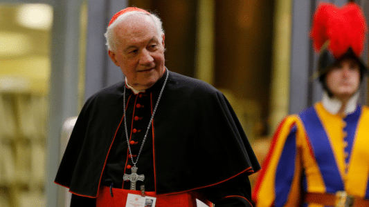 Ouellet abusos celibato