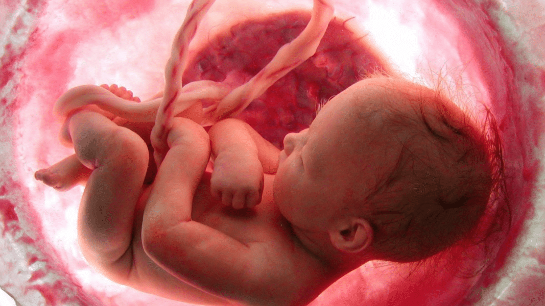 Proponen en California una ley que legalizaría el infanticio los primeros meses tras el nacimiento