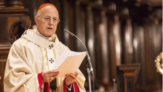 cardenal Ricardo Blázquez