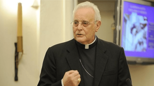 cardenal Carlos Amigo Vallejo