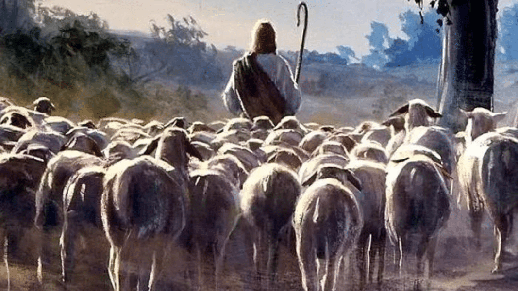 «Yo soy el buen Pastor»