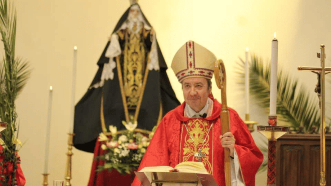 Obispo Cristián Contreras (Chile): «Esta votación ha significado una derrota para la agenda 2030, el globalismo y la ideología de género»