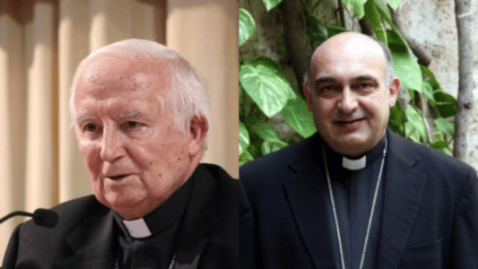 Antonio Cañizares y Enrique Benavent