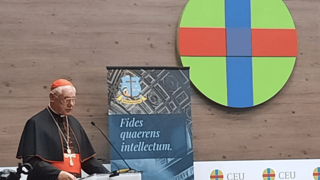 Cardenal Müller: «Los obispos no pueden reinterpretar la fe revelada a su gusto»