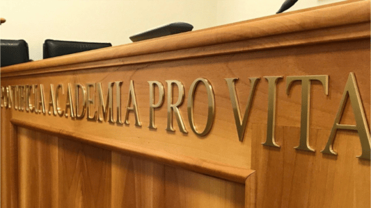 Academia Pontificia Vida