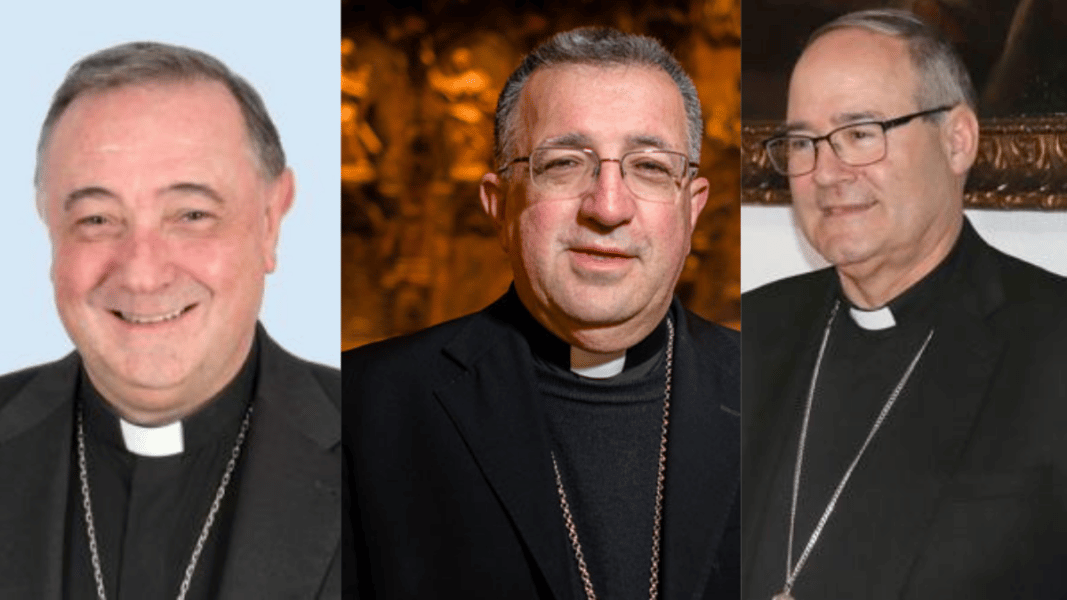 Luis Ángel de las Heras, Ginés García Beltrán y Cerro Chaves