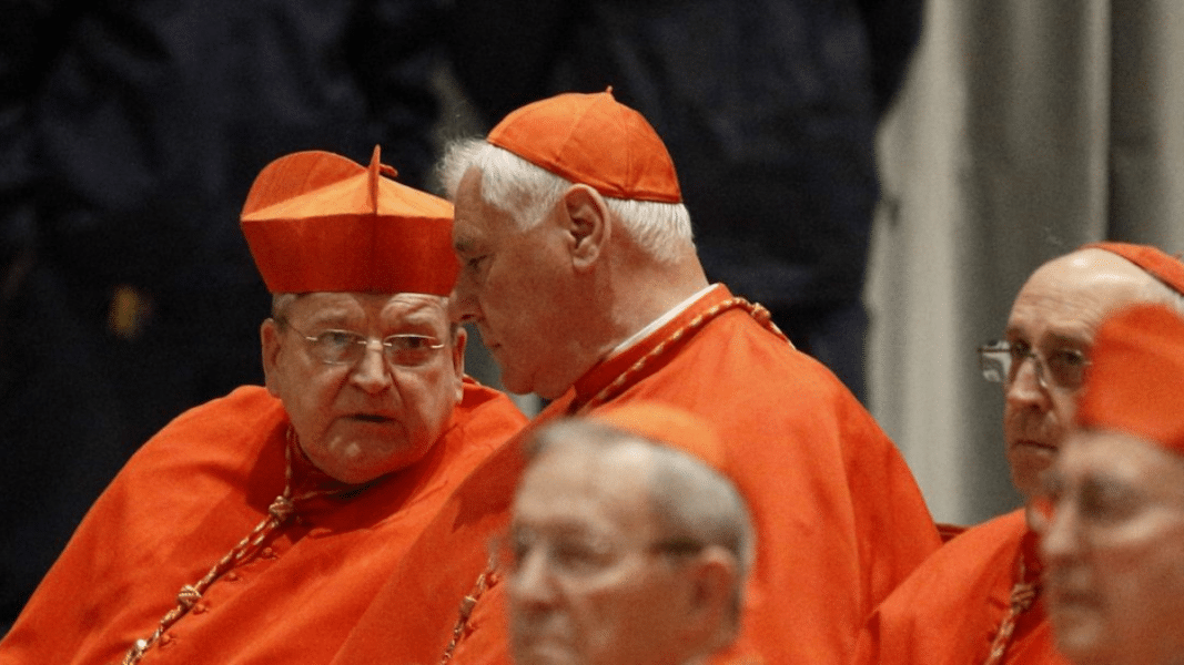 León XIV y el derecho canónico: Burke y Müller conversan durante una ceremonia eclesial