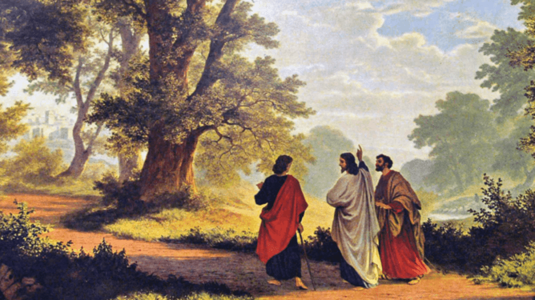 «En su nombre se proclamará la conversión para el perdón de los pecados a todos los pueblos»