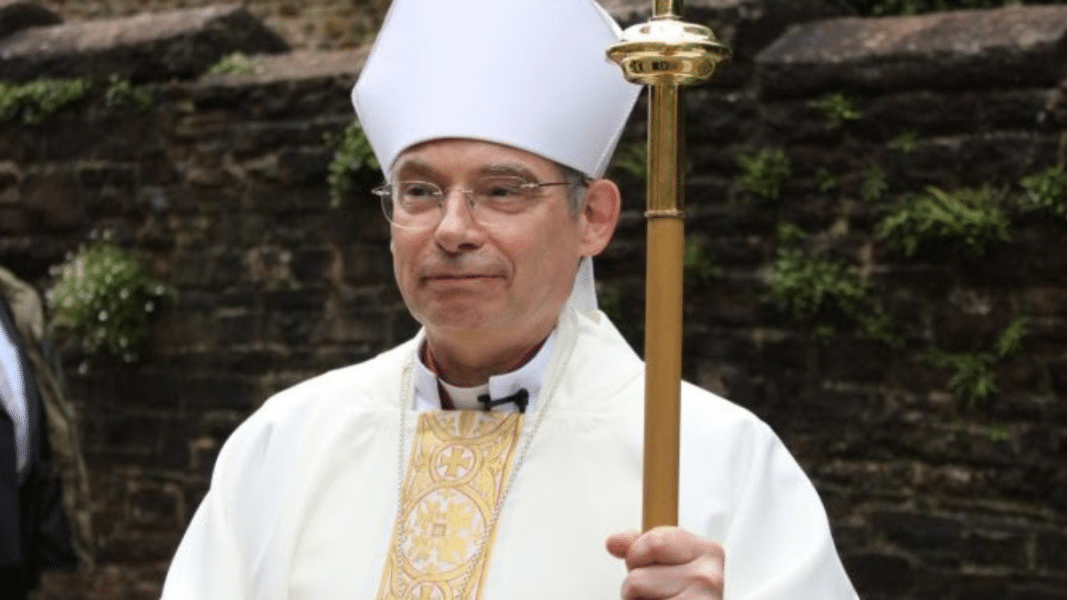 Ver las buenas semillas entre la cizaña