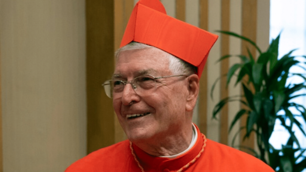 Opus Dei y León XIV en audiencia privada