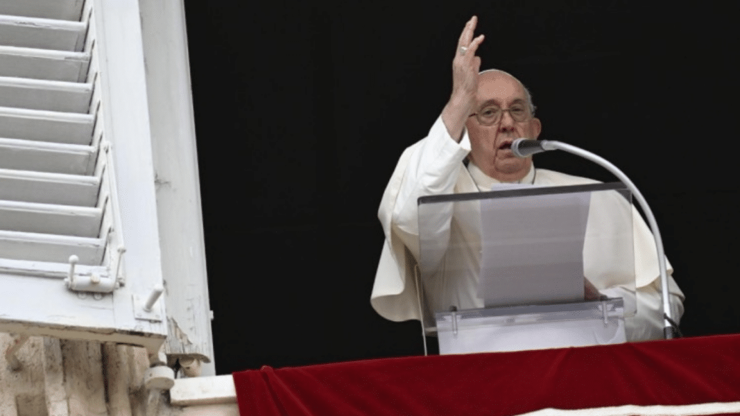 El Papa insiste en animar a «continuar por el camino de la conversión ecológica»