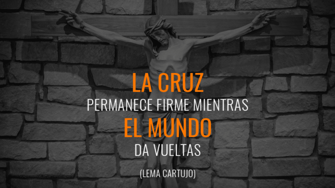 Señor, ¿a dónde iremos?