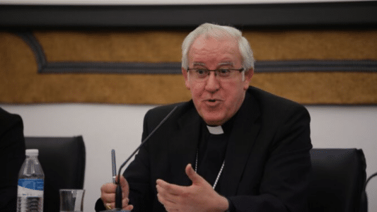 José Ángel Saiz Meneses