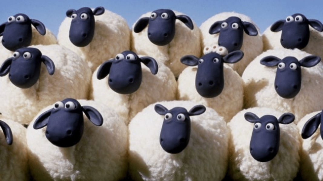 El espinoso tema de los influencers católicos