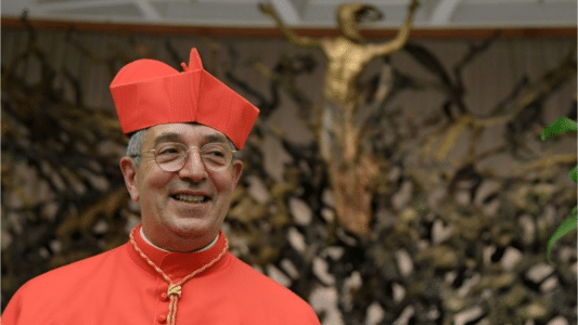 Cardenal Angelo De Donatis
