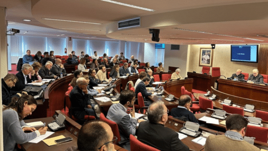 Asamblea sinodal España